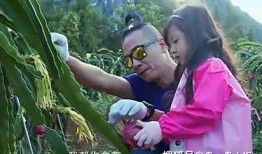 鹏哥爆料盈公主的视频旅游团,盈公主视频旅游团背后的精彩故事