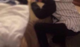 娱乐圈吃瓜有图有真相,吃瓜有图有真相，揭秘明星幕后故事